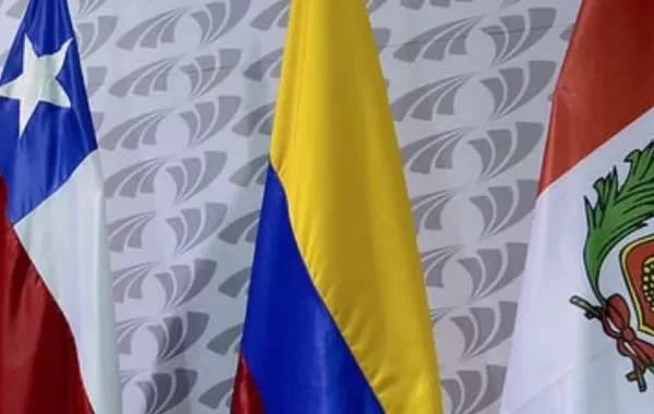 América Latina fortalece su compromiso con los Principios Voluntarios: Avanza la articulación regional entre grupos de trabajo