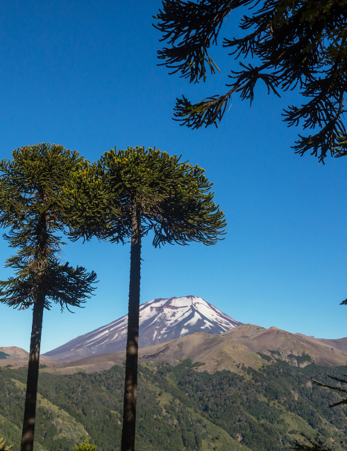 La Araucanía