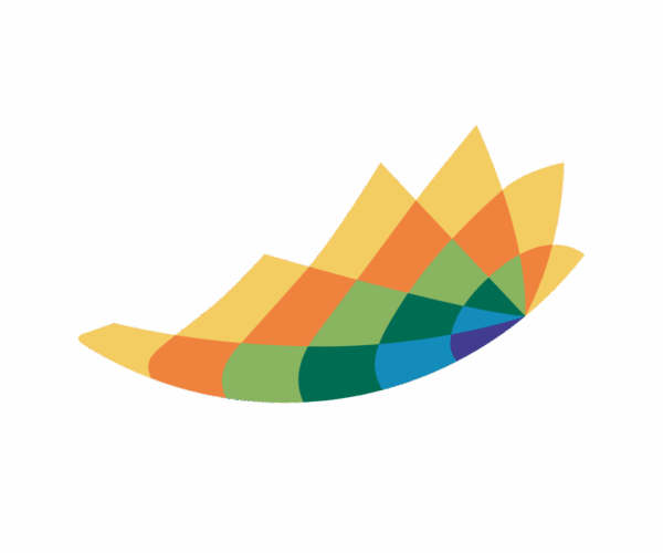 SOC CONSULTORA Y COMERCIAL GEONORTE LIMITADA