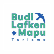 SOCIEDAD COMERCIAL TURISMO Y TRANSPORTE BUDI LAFKEN SPA