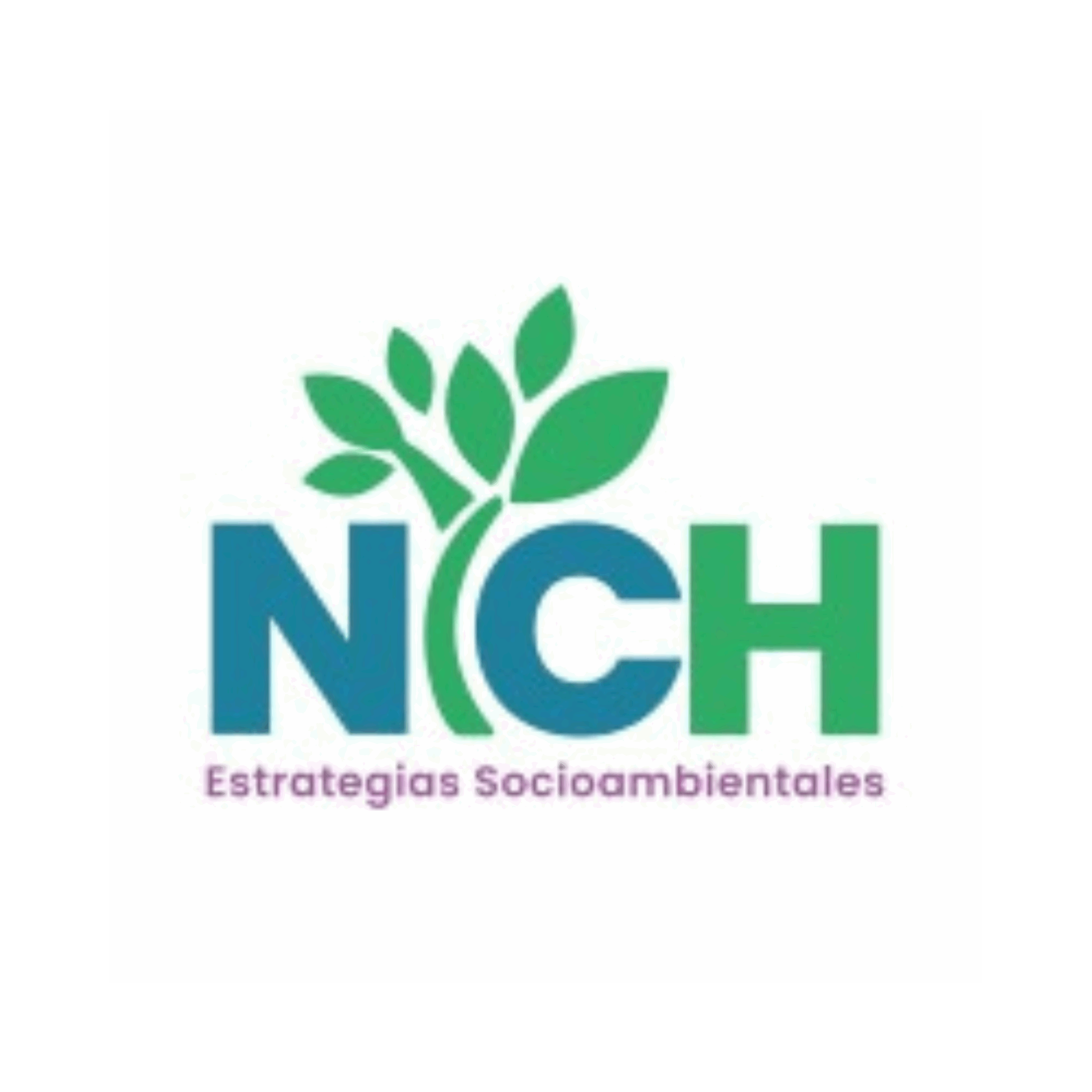 ESTUDIOS SOCIOAMBIENTALES Y JURÍDICOS NAHUELHUAL Y CHEUQUELAF LIMITADA